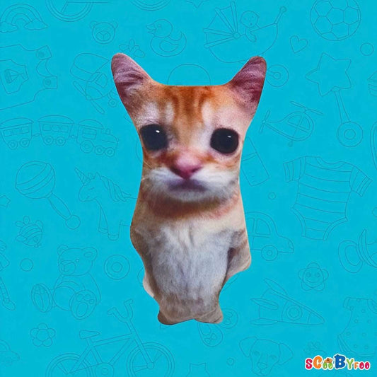 El Gato Cat